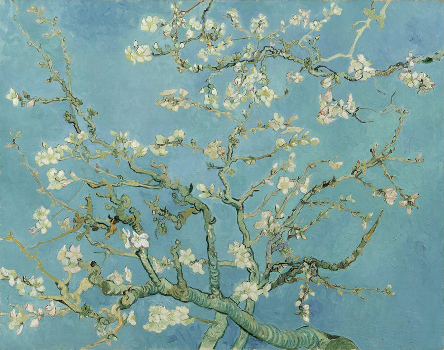 Amandier en fleurs (1890)